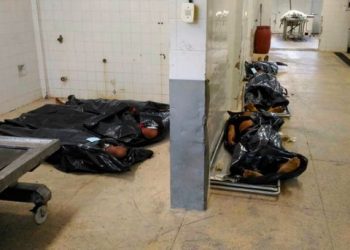 'Thugs are randomly shooting at anyone who passes': Looting, rape and murder break out on the streets of Brazil after military police go on strike