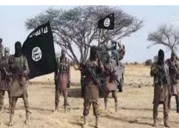 Jihadists kill dozens in attacks on Borno village, town