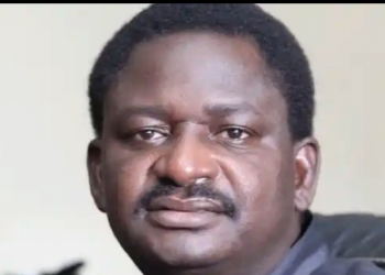 Stop Calling Buhari A Failure – Femi Adesina Warns Nigerians