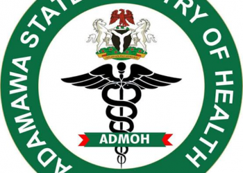 Adamawa Discharges All COVID-19 Patients