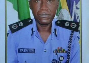 BREAKING! President Buhari Nominates Bala Ciroma FCT Com Of Police To Replace Magu