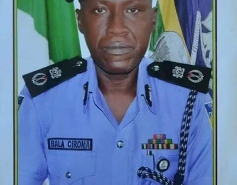 BREAKING! President Buhari Nominates Bala Ciroma FCT Com Of Police To Replace Magu