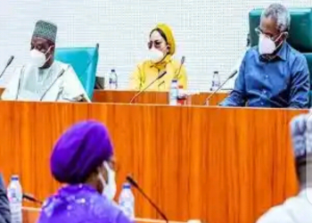 Gbajabiamila, Finance minister assure early completion of NILDS complex