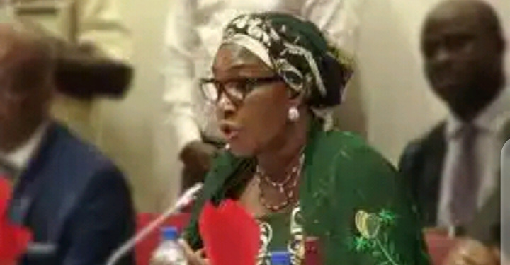 I did not touch funds meant for the Niger Delta people — Joy Nunieh
