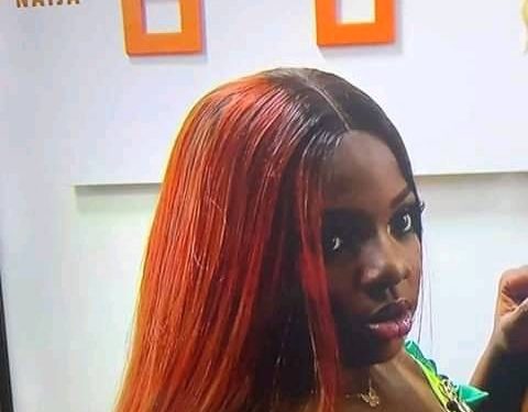 BBNaija 2020 party: 10+ photos of what you missed last night.