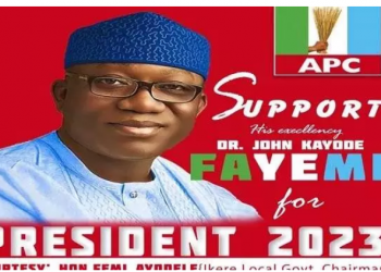 Ekiti Assembly suspends Council boss over Fayemi’s campaign posters.