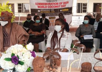 World Coconut Day: Lagos Picks Badagry As Location For Proposed Coconut Factory