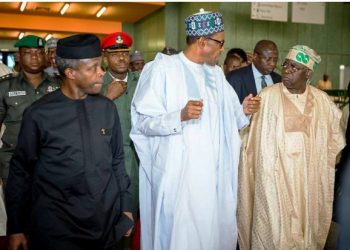 Ajomale: Osinbajo Capable But Tinubu Has The Experience To Lead Nigeria