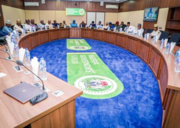 We Kept Palliatives Ahead Of Second Wave Of COVID-19 – Governors