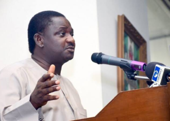 Adesina: PDP Wanted To Take  Advantage Of EndSARS To Return To Power In 2023