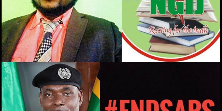#EndSARS: Complete Police Reform Is The Way To Go – NGIJ President