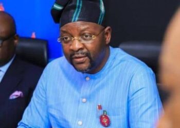 Minister Of Sport: We Need N81 Million To Cut Abuja Stadium Grass