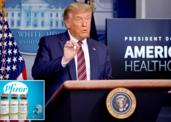 DonaId Trump: I Will Give up Power If Electoral College Votes Biden In December