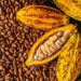 CBN Blocks Exportation Of Cocoa: 100,000 Tons Trapped In Ports – Agriculture