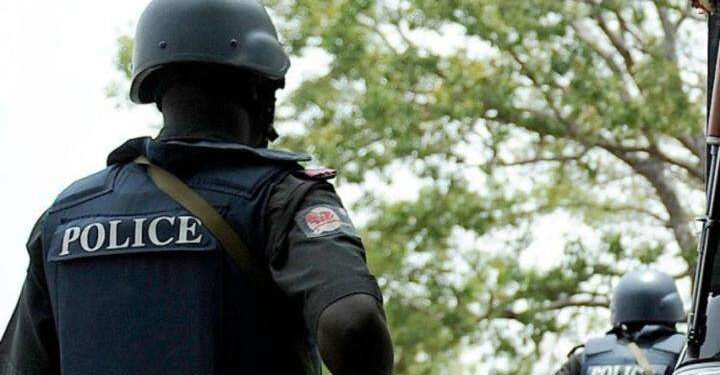 End SARS unrest: Protect yourselves, policemen can’t guarantee security – DPO to Nigerians