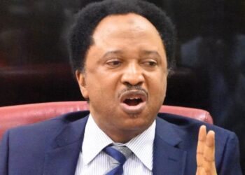 Shehu Sani Reacts To Jonathan’s Refusal To Blame Buhari Govt For Insecurity