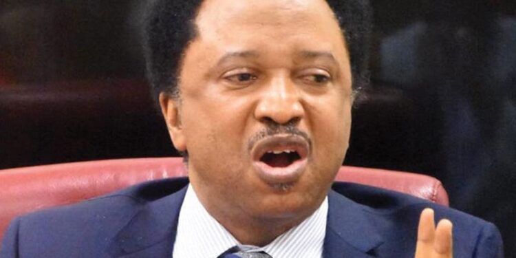Shehu Sani Reacts To Jonathan’s Refusal To Blame Buhari Govt For Insecurity