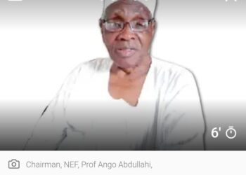 We’ll No Longer Tolerate Attacks On Northerners – NEF