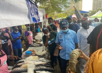 Lagos To Establish Fish Center To Boost Production