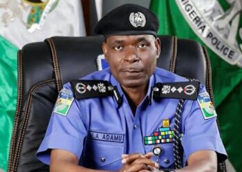 Insecurity: IGP Orders Immediate Deployment Of SWAT Operatives