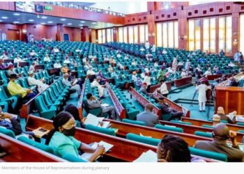 Buhari’s Impeachment: More PDP Reps Tackle House Leadership Over Sanction Threat