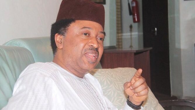 No Need For 2021 Prophecies, Shehu Sani Tells Clerics