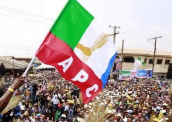 We Will Deliver On Our Manifesto In 2021 – APC Governors