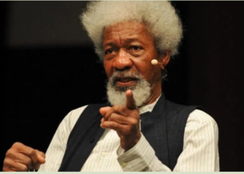 Soyinka Laments Insecurity, Says Nigeria’s Sovereignty Taken Over By Armed Group