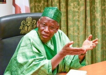 Ganduje: Movement Of Cattle From North To South Should Be Banned