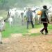 Herdsmen: We Have Started Relocating To Kano
