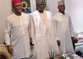 Why I Met With APC Leaders —Fani-Kayode
