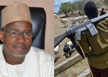 No Difference Between Bauchi Governor And Boko Haram – Yinka Odumakin