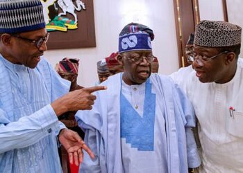 2023: Don’t Let Northerners Divide You, Adebanjo Tells Jonathan, Tinubu, Fayemi