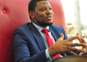 Adamu Garba: Investing In Cows Better Than Cryptocurrency