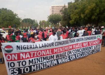 Rewane: FG, 36 States Can Conveniently Pay Minimum Wage If They Are Sincere
