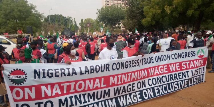 Rewane: FG, 36 States Can Conveniently Pay Minimum Wage If They Are Sincere