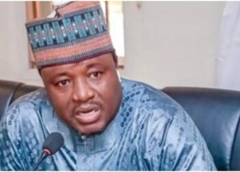 Banditry, Kidnapping: Hold The Government Responsible – Arewa Youths President