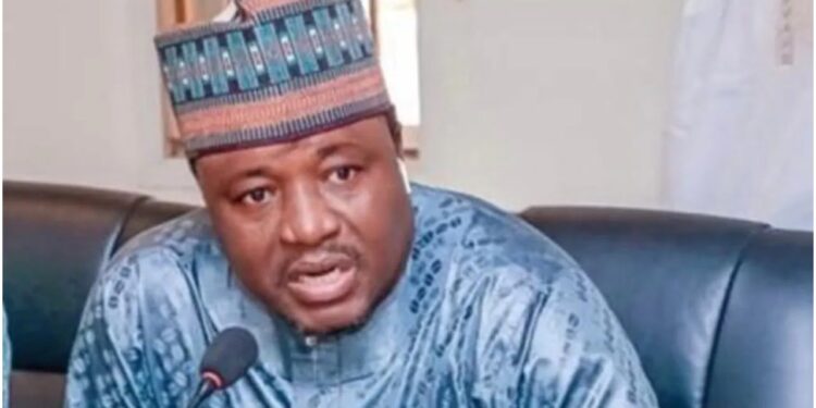 Banditry, Kidnapping: Hold The Government Responsible – Arewa Youths President