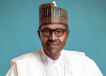 Boko Haram: President Buhari Happy With Troops Performance – Defence Minister
