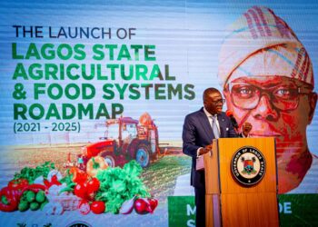 Sanwo-Olu Unveils Five-Year Food Sufficiency Road Map For Lagos
