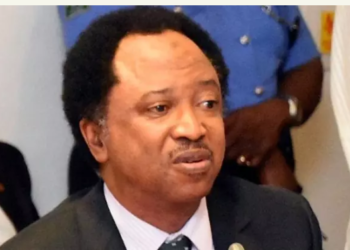 Shehu Sani Advises Tinubu To Learn From Abiola’s Travails