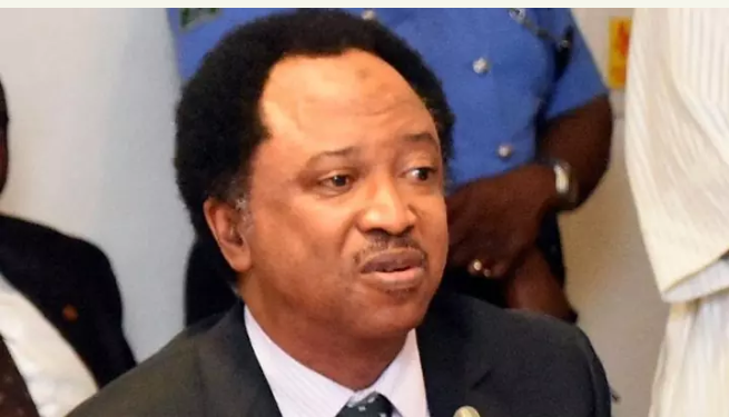Shehu Sani Advises Tinubu To Learn From Abiola’s Travails