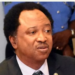 Shehu Sani Advises Tinubu To Learn From Abiola’s Travails