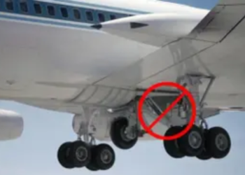 FG Probes Death Of ‘stowaway’ On Lagos-amsterdam Flight