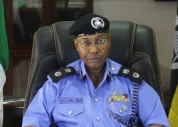 Governors Rooting For State Police Are Inviting Anarchy – IGP