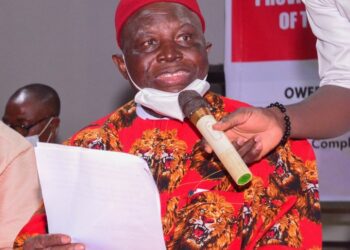 1999 Constitution Limiting Some Nigerians Like Caged Lion – Ohanaeze