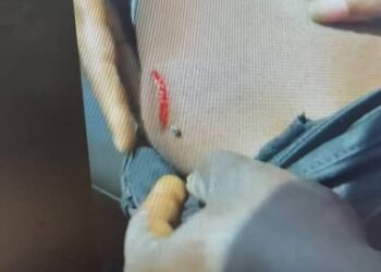 Police Officer Shoots Omoyele Sowore