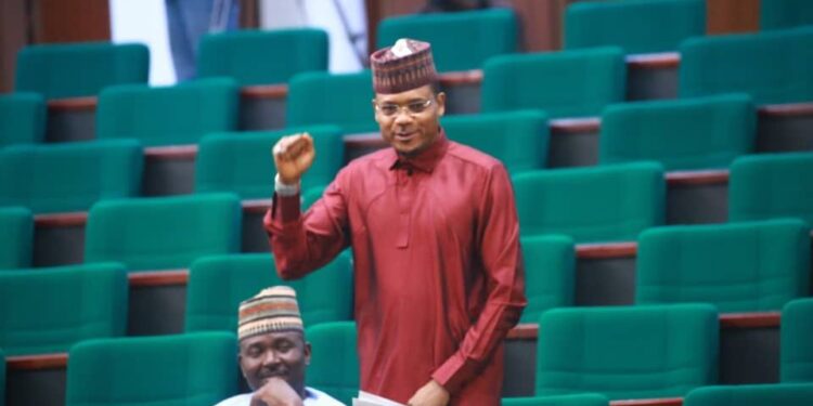 ‘In-Born Excellence’ Why Shina Peller Deserves To Wear Oyo North Senatorial District Cap By Victor Ojelabi