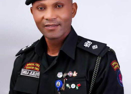 SETTING SELF ABLAZE: WE HAVE NO HAND IN IT – LAGOS TASKFORCE CHAIRMAN