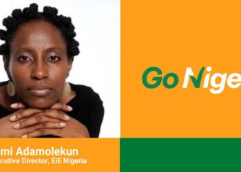 The Only Way to Solve Political Problems is through Politics… ‘Yemi Adamolekun, Go Nigeria Advocate